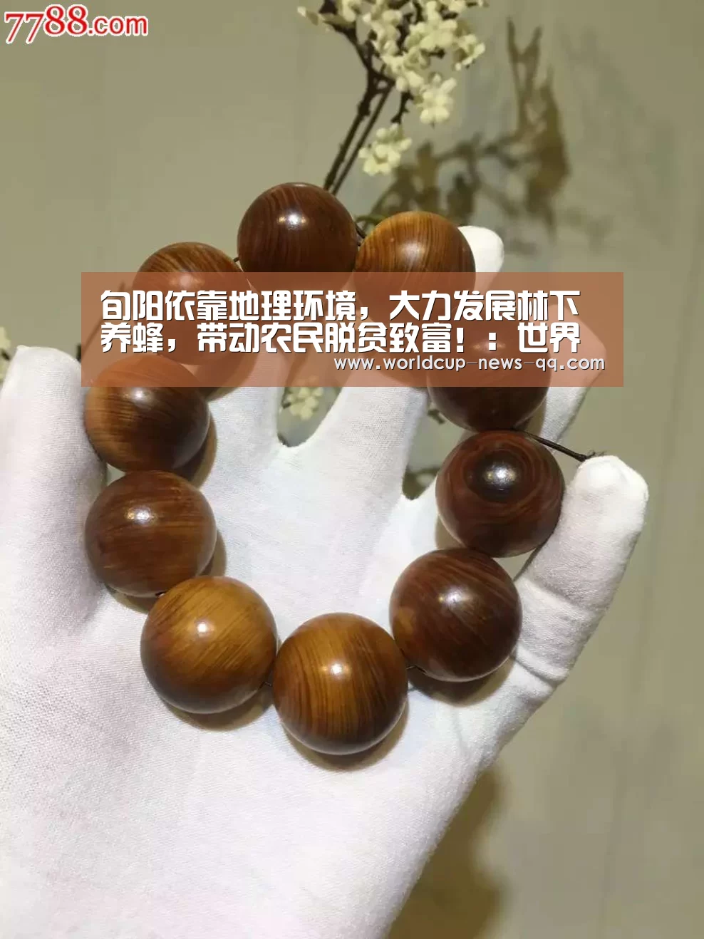 世界杯直播