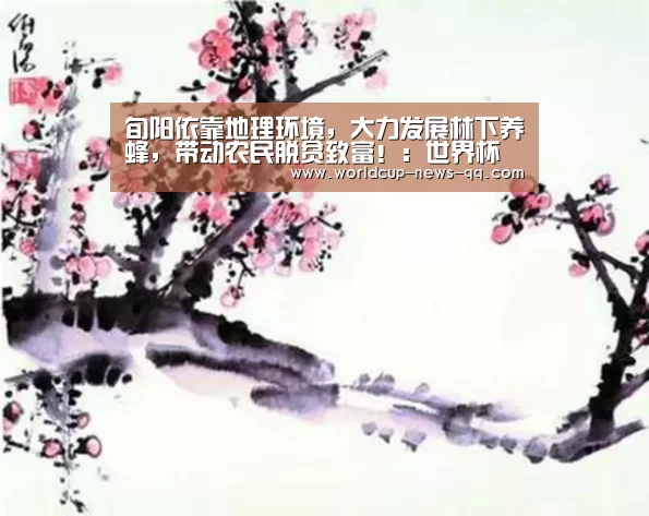 世界杯直播