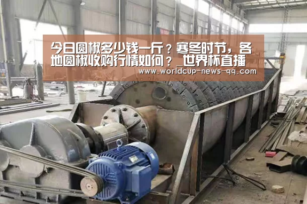 今日圆椒多少钱一斤?寒冬时节,各地圆椒收购行情如何?_世界杯直播(图1) 世界杯直播