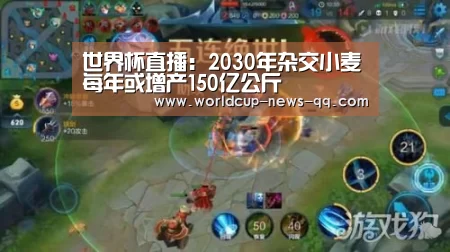 世界杯直播