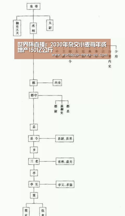 世界杯直播