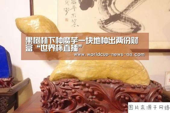 世界杯直播