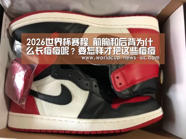 2026世界杯赛程