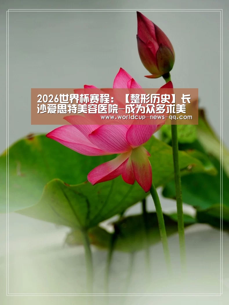 世界杯直播