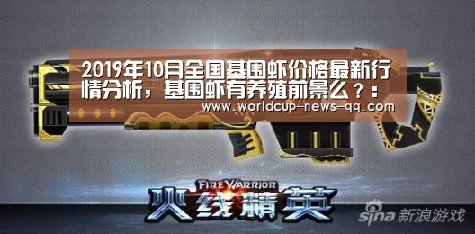 世界杯直播